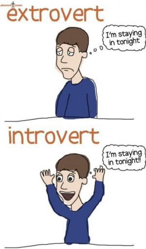 funny-picture-extrovert-introvert-comics