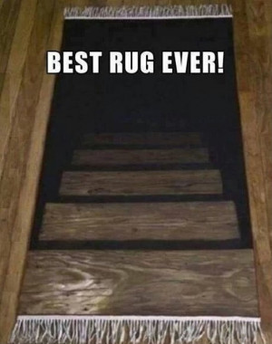 Funny-Best-rug-ever-Funny-Pictures-MEME-Jokes.jpg