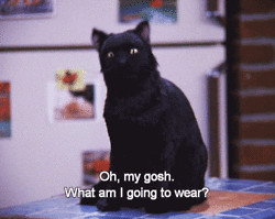 quote Sabrina the teenage witch Salem Saberhagen salem sabrina