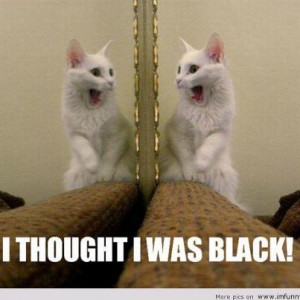 funny animals funny easter funny kids funny pictures quotes and ...