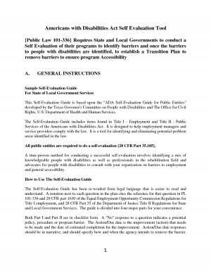 Sample Self Evaluation Audit Tool picture