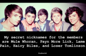 Mystery Solved Why Don Hate One Direction