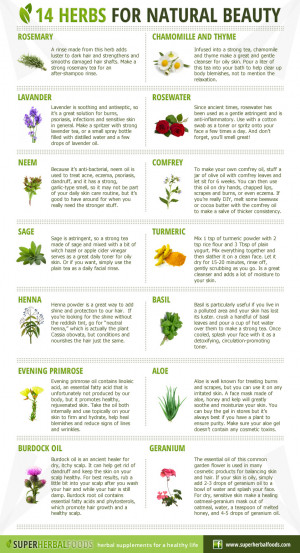 10 herbs that heal chart