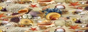 Seashells Galore Facebook Cover