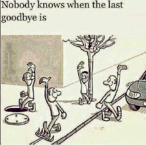Image of Nobody Knows When the Last Goodbye Is