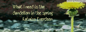 Results For Hunger Games Quote Facebook Covers