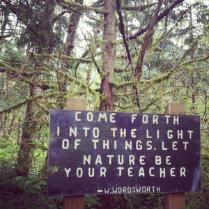 Come forth into the light of things. Let Nature be your teacher ...
