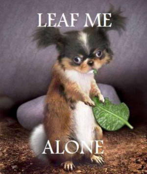 By Admin on January 14, 2013