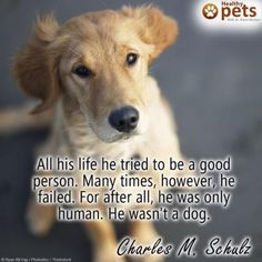 charles m schulz dogs make people happy more pets tips dogs toys dogs ...