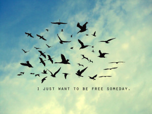 birds, clouds, feelings, free, freedom, inspiration, inspiring, life ...