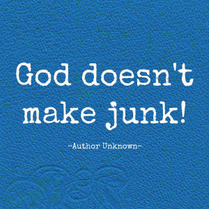 God Doesn't Make Junk Quote