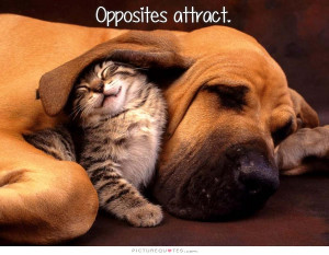 Opposites attract Picture Quote #1