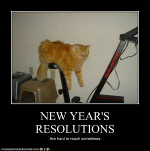 Funny New Years Resolutions for 2013