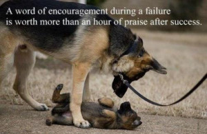 word of encouragement during a failure is worth more than a hour of ...