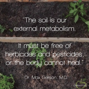 The soil is our external metabolism. It must be free of herbicides ...