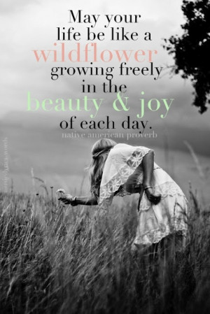 music amp lyrics amp words