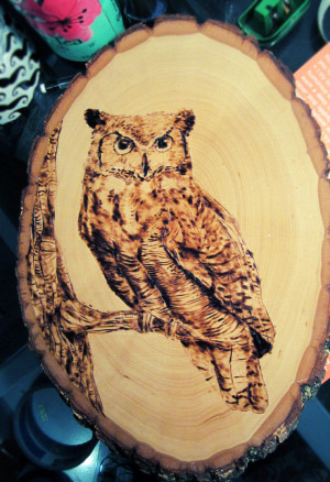 Great Horned Owl Wood Burning by witchpaws