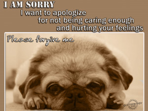 am sorry I want to apologize for not being caring enough