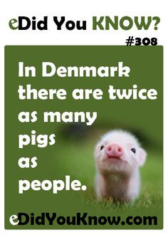 More eDidYouKnow.com More