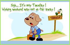 its only tuesday quotes days of the week tuesday