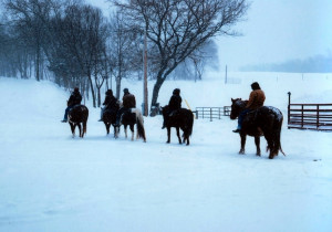 Funny Quotes Contact Dmca...