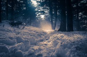 Snowy Appalachian Trail (by Nathan Firebaugh )