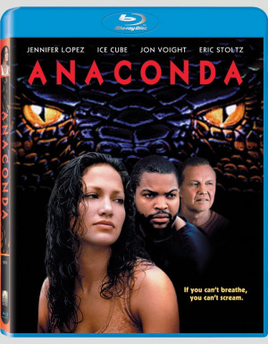 Additional Options These options are not required but may be useful.