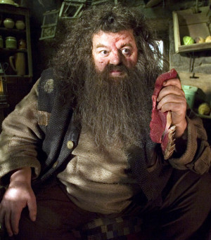 Image - Rubeus Hagrid OOTP.jpg - Harry Potter Wiki