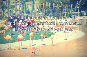 Accept the past without regrets. Handle your present with confidence ...