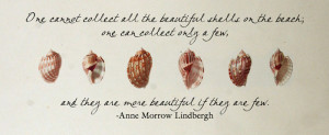 sea shell quote photography wallpaper 22895005 fanpop fanclubs picture