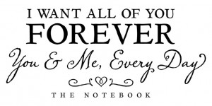 Wall Vinyl Quote I Want All of You Forever Quote by aubreyheath, $32 ...