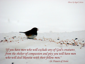 Leave a Reply Cancel reply