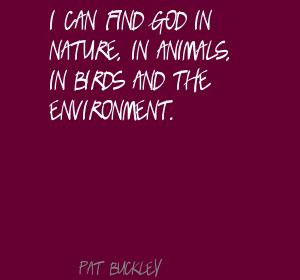 Can Find God In Nature In Animals In Birds And The Environment ...