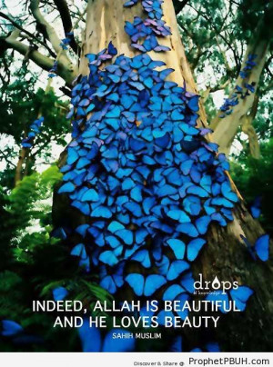 Allah is Beautiful (Prophet Muhammad ï·º Quote) - Hadith ← Prev ...