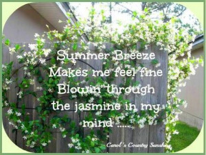 Summer breeze lyric quote via Carol's Country Sunshine on Facebook