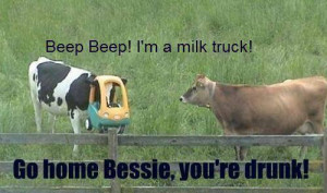 Go Home, Bessie - You're Drunk!