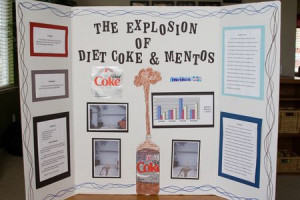 www all science fair projects