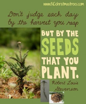 Planting Seeds Quotes When you plant, when you
