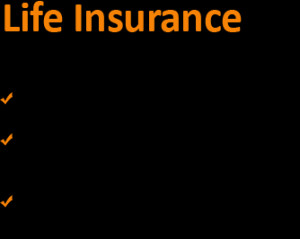 Life Insurance