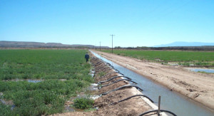 Irrigation Biological And Agricultural Engineering