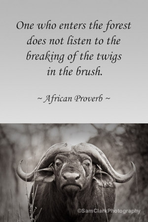 ... Inspirational Quote, African Proverb, Animal Photo, Nature Photo
