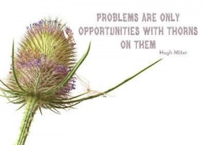 Problems Are Only Opportunities With Thorns On Them