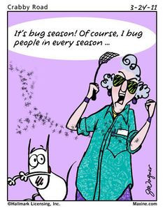 maxine well i try more maxine rocks mosquitoes seasons bugs seasons ...