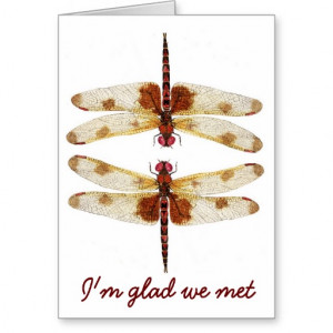 glad we met- dragonflies card.