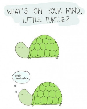 funny-pictures-little-turtle-world-domination