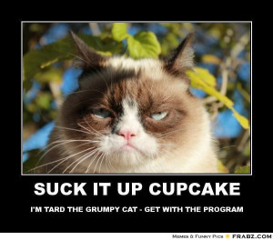 Displaying (13) Gallery Images For Grumpy Cat Pictures With Captions ...