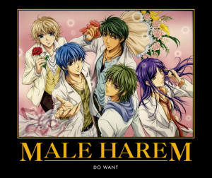 reverse harem anime series