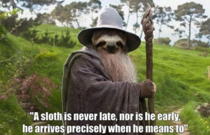 Funny Sloth Pictures With Quotes A sloth is never late