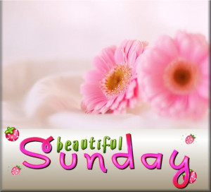 Sunday-flower-day-sunday-weekdays-P.jpg
