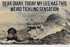 BLOG - Funny Quotes Dear Diary